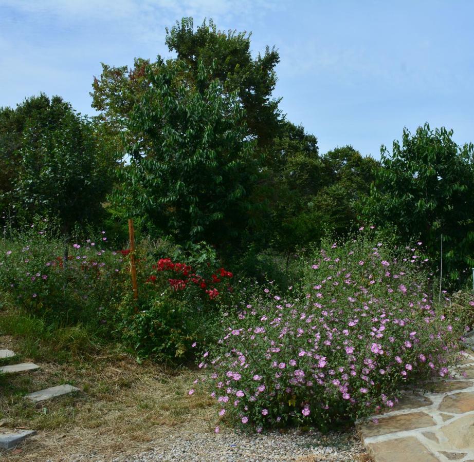 Casale Dionisia, Santa Maria Di Castellabate, Appartamento Iris Eksteriør billede